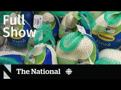 CBC News: The National | Thanksgiving inflation, Ozempic concerns, U.S. political chaos