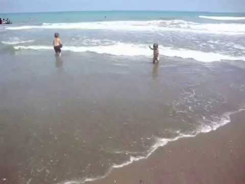 anas a la plage d'Aokas