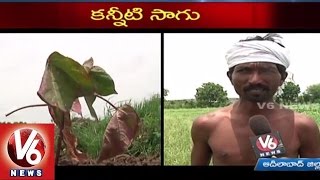 Special Story on Farmers Problems with Lack of Rains and Incresed Debts | Adilabad - V6 News