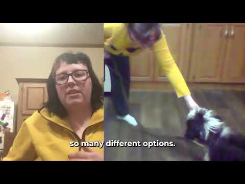 Homeschool by LAY LO: Dog training with world-class experts video.