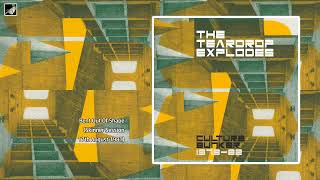 Bent Out Of Shape (Skinner Session  17th August 1981) by The Teardrop Explodes