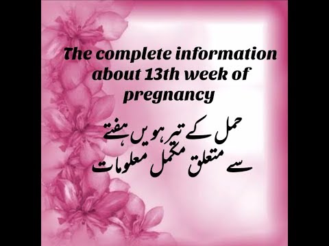 The complete information about 13th week of pregnancy ||development n growth