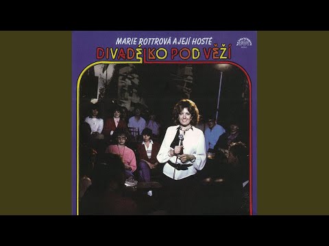 Divadélko pod věží - Dialog s Vladimírem Menšíkem