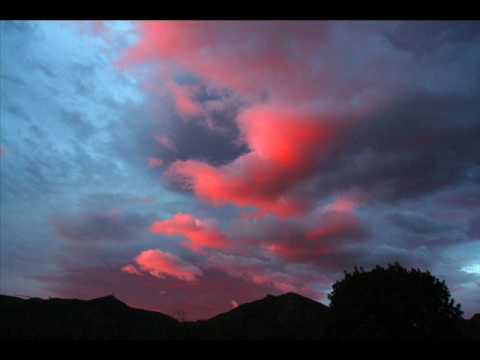 DJ THOM FT. Dj DAN- Fireflies