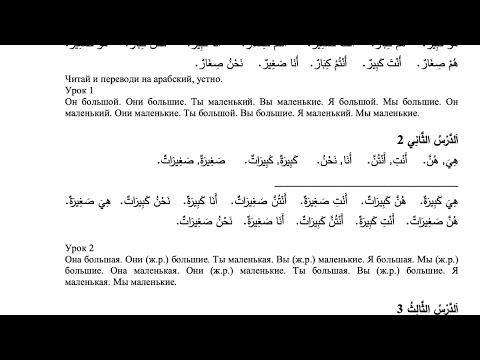 Багаутдинов  братья 1 урок от 18.01.2020