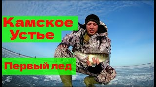 Рыбалка камское устье 2019 год татарстан