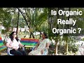 Organic Farming The Benefits And Challenges Explained Lovely Tales
