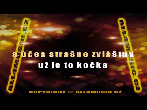 KJ1607 GRIGOROV ROBO-Ona je madona (Karaoke verze)