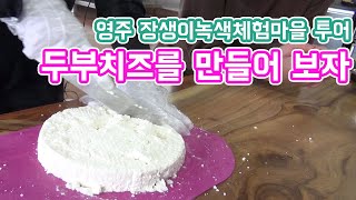 영주 장생이녹색마을에서 두부치즈를 만들었습니다│농사직방