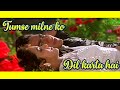 Tumse Milne Ko Dil Karta Hai Fool Aur Kante Ajay Devgan