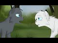 Youth Snowfur AMV