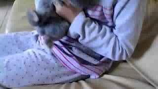 mon petit lapin oasis