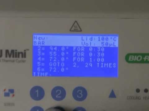 Simply Cloning Chapter 2 Pcr
