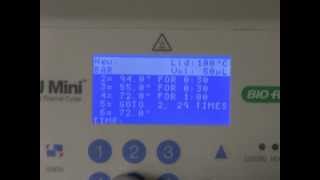 Simply Cloning - Chapter 2 - PCR