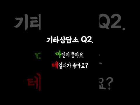 마틴 vs 테일러