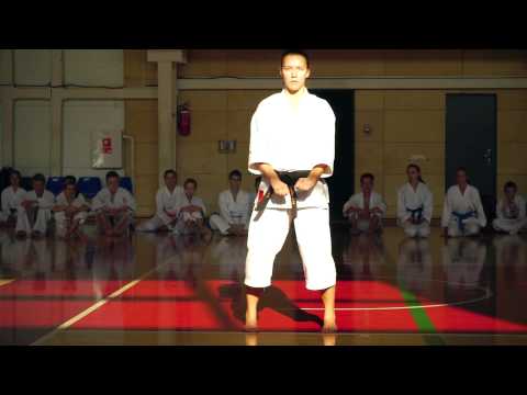 Tradicinio karate klubo "Danas" sportininkų pasiruošimas pasaulio čempionatui