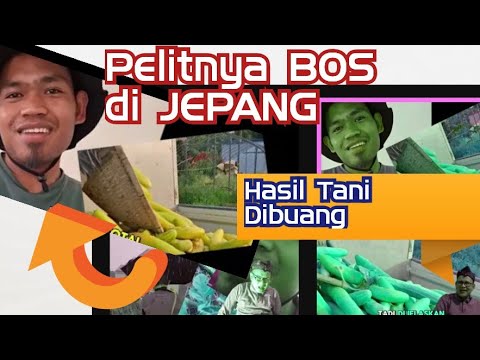Bos Dari Jepang Bukan Pelit.Tapi Strategi Dagang.