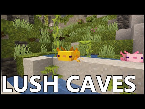 RajCraft - Where To Find LUSH CAVES In MINECRAFT 1.18