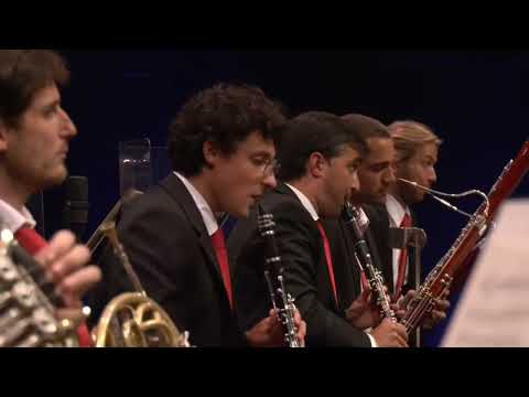 Beethoven Symphony 7, clarinet excerpt