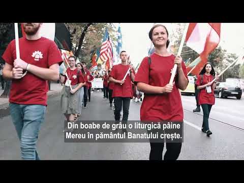 Învață Imnul ITO 2023! Pe 31 August, îl cântăm împreună în Parcul Rozelor din Timișoara!