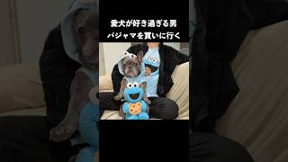 愛犬が好き過ぎる海外在住独身男の日常