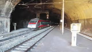 Una specie in estinzione