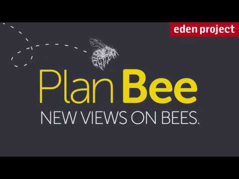 Plan Bee art exhibition - Eden Project