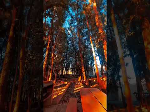 Lo más Hermoso es que es Tiquipaya en la ciudad de CoChabamba #bolivia #cochabamba #nature #relax