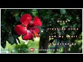 You Raise Me Up English Christian Song WhatsApp Status