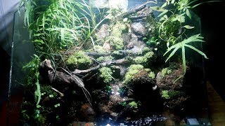 Corner Underwater Waterfall How To Make Aquascape Waterfall On