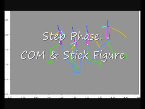Triple Jump Analysis using Quintic Software
