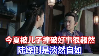 《锦衣之下》绎夏夫妇婚后的日常趣事：被儿子撞破好事的尴尬，今夏很赧然，陆绎倒是淡然自如 video