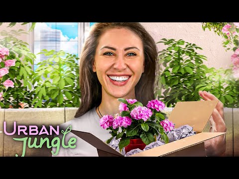 Wer Unpacking liebt wird das hier SUCHTEN! Urban Jungle