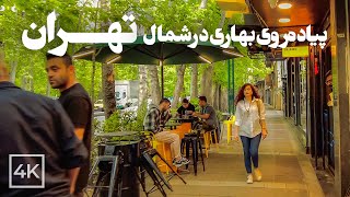 Spring Walk in TEHRAN - from Tajrish Sqaure to Fereshteh St. | تهران، از تجریش تا فرشته