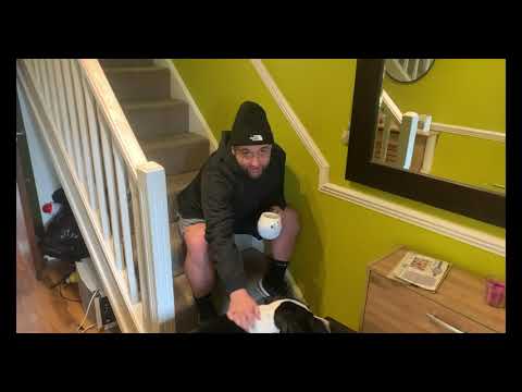 Deeside Lyrics - You know what it is (4K)