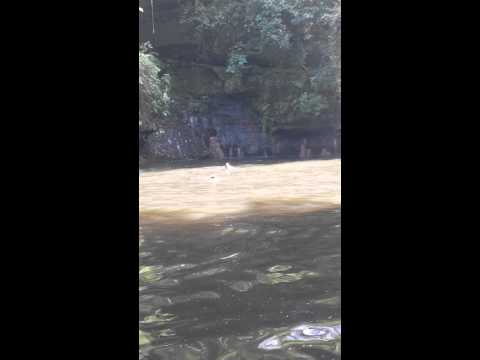 Kilah 60 feet Kinlock Falls