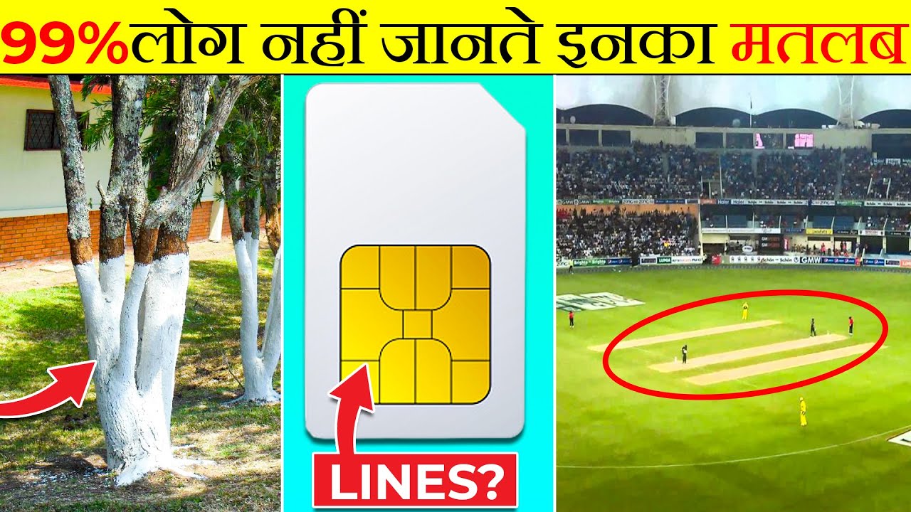 यह सिर्फ दुनिया के कुछ लोगे जानते है Common things you don't know the purpose | its fact |fact 2022