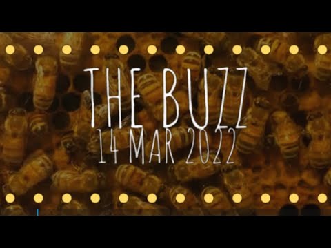 The Buzz 03-28-2022