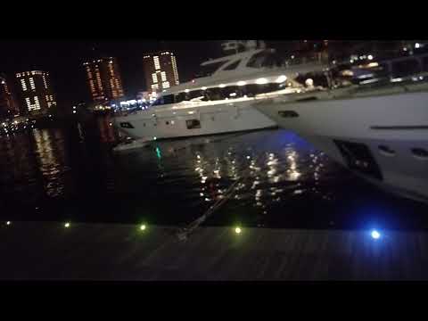 جولة في لؤلؤة