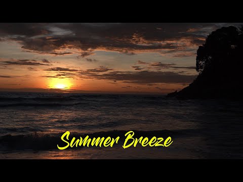 Summer Breeze Remix - Produced by WiseGuys
