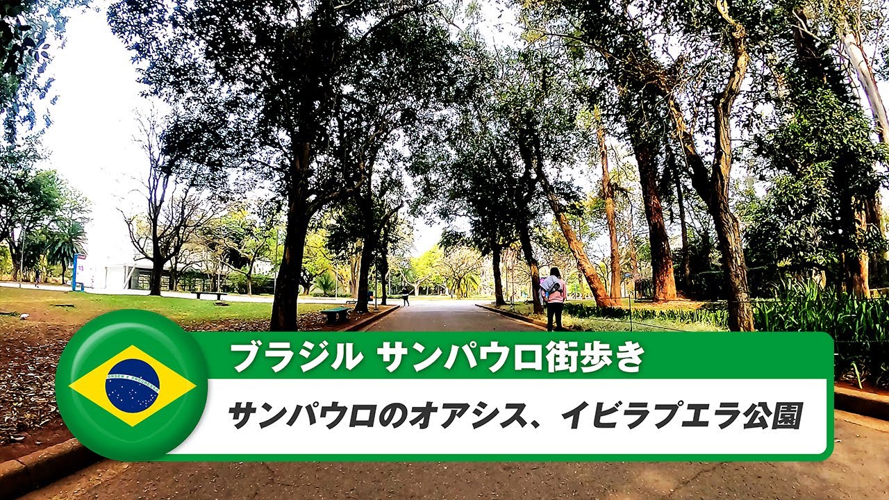 【ブラジル】サンパウロ⑮サンパウロのオアシス、イビラプエラ公園