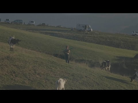 Wolfgang Pérez - Who Cares Who Cares