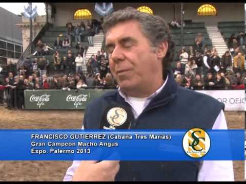 FRANCISCO GUTIERREZ - Cabaña Tres Marias - Gran Campeon Machos Angus - Expo  Palermo 2013