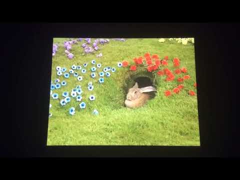 Teletubbies king tinky winky