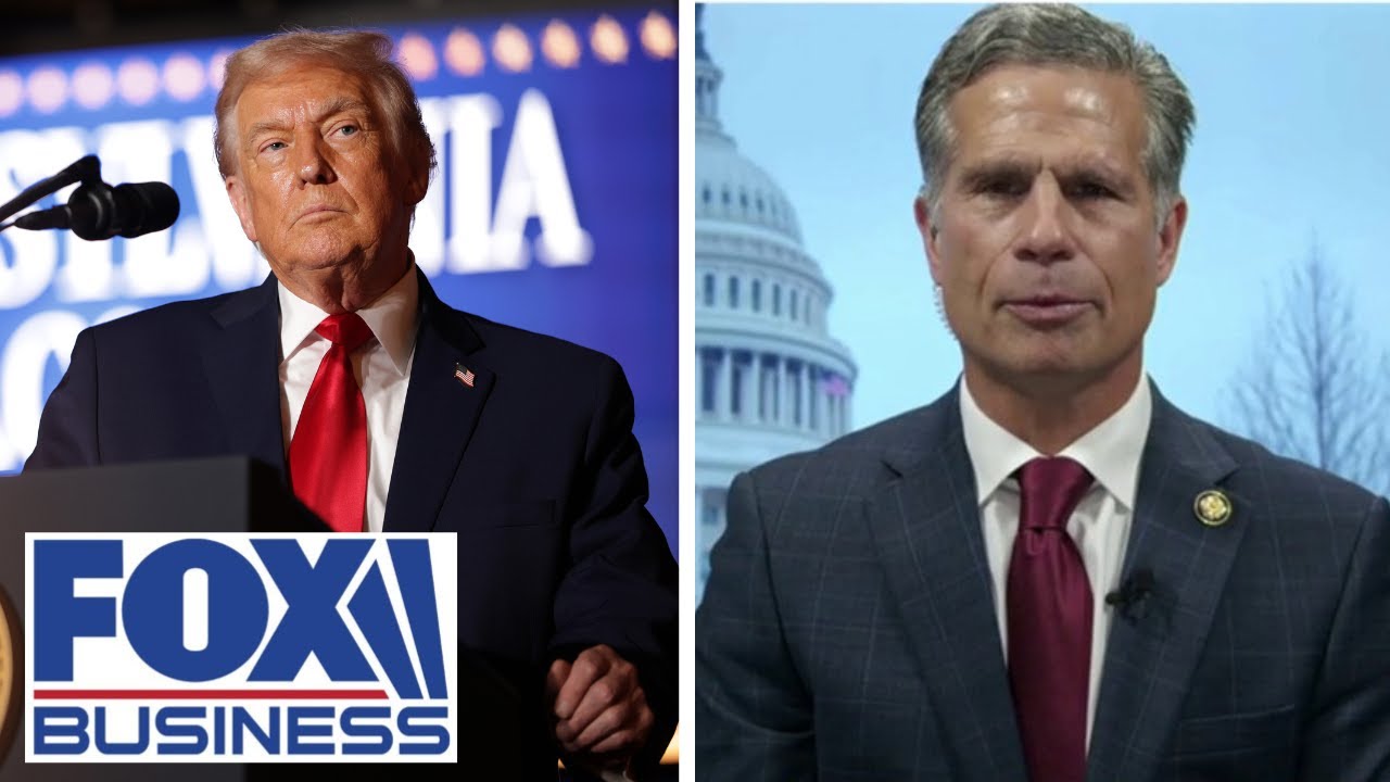 ‘HOAX’: Dems are trying to pin affordability crisis on Trump, GOP lawmaker says