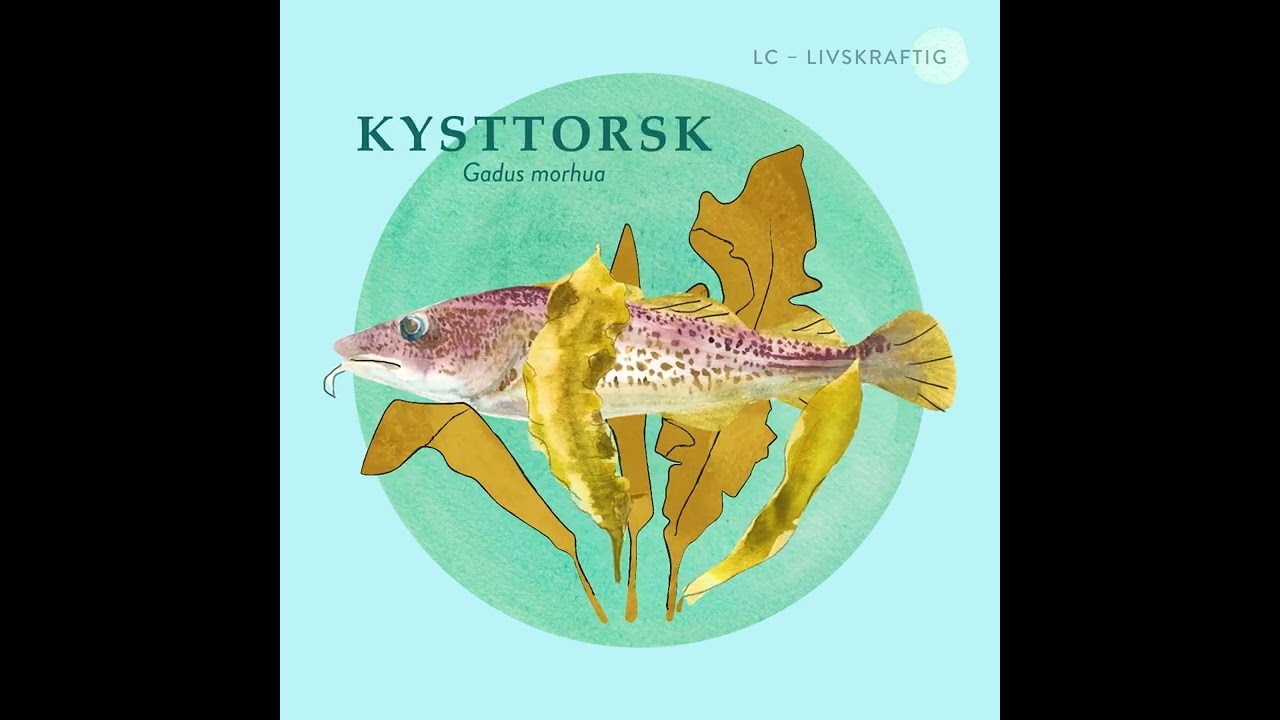 Livet i havet er truet