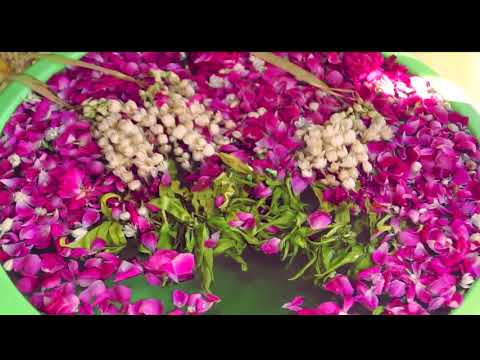 Contoh Video Highlight Akad dan Resepsi Perkawinan