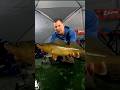Video Thumbnail for Early ice Huge Walleye #FishShimano