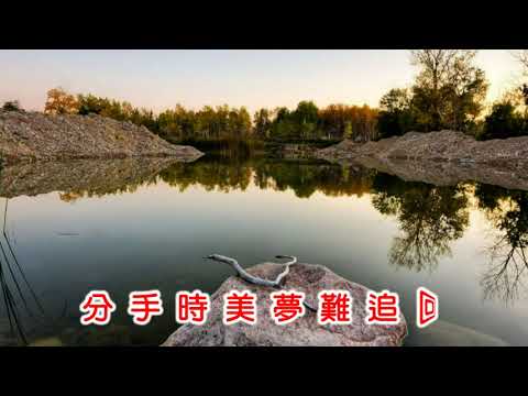 于櫻櫻 ~ 梨花淚