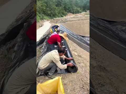 The world's largest swimming pool wood working art_hand crafts_#shorts